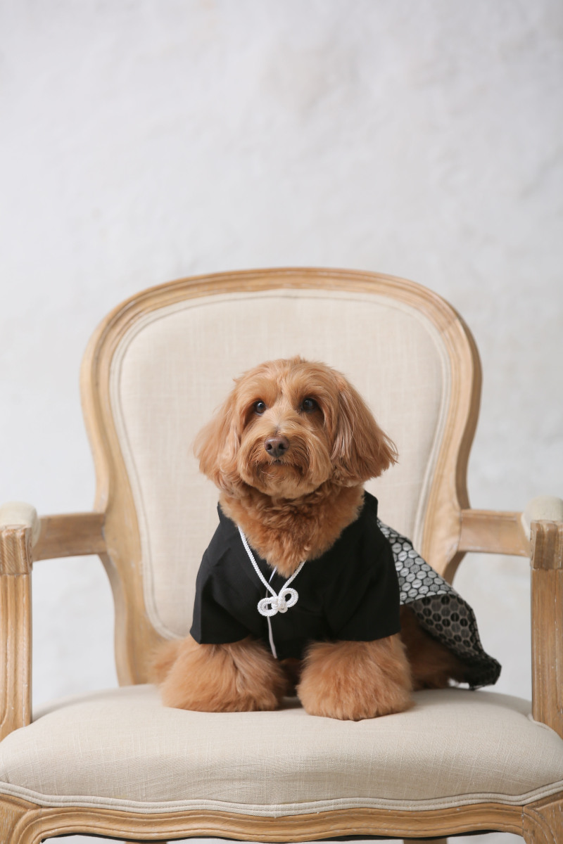 ソロカットはバッチリです