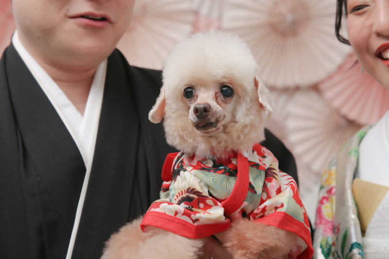 屋内庭園スタジオ