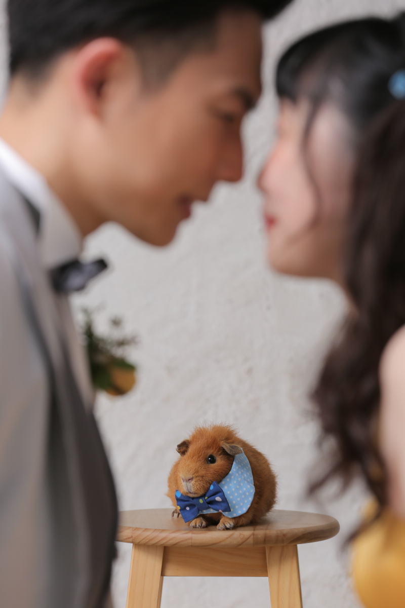 洋装ハウススタジオ