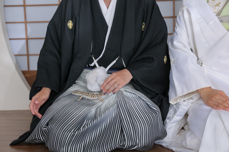 こちらも