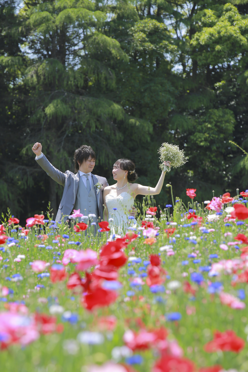 たくさんのポピーと一緒に