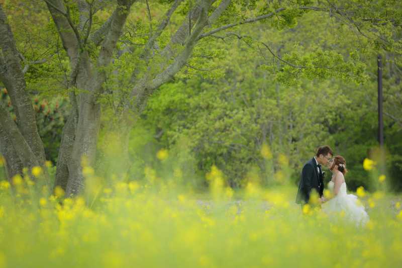 ひたち海浜公園〜お花畑と新緑で〜
