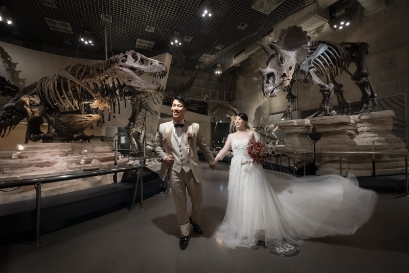 T-REX & Triceratops