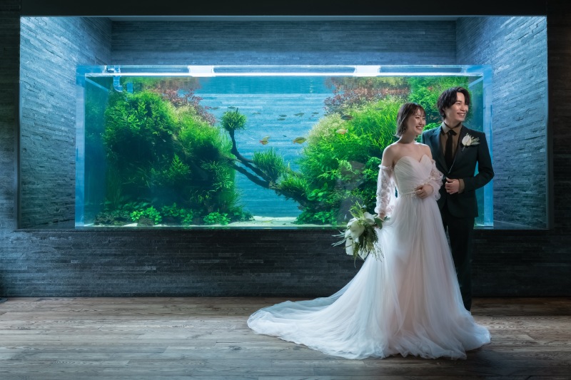 海の生き物との撮影