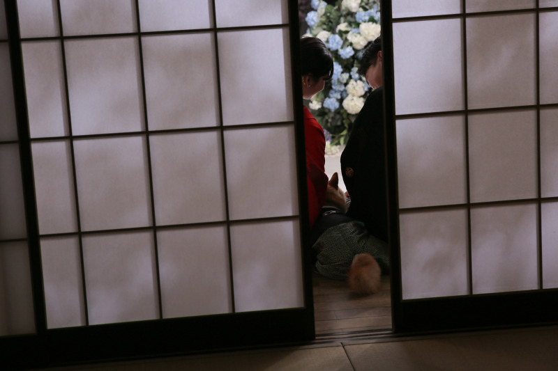 イメージショット