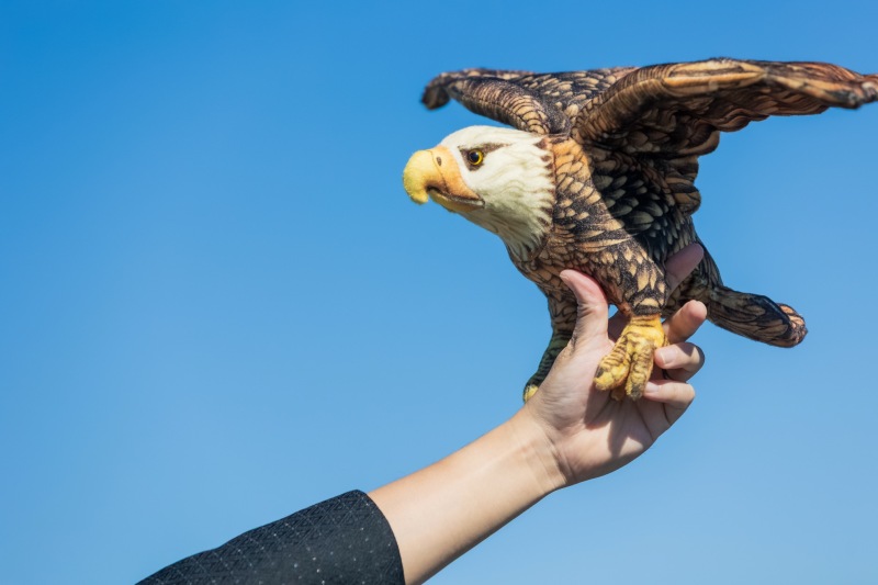 一富士、二鷹、、