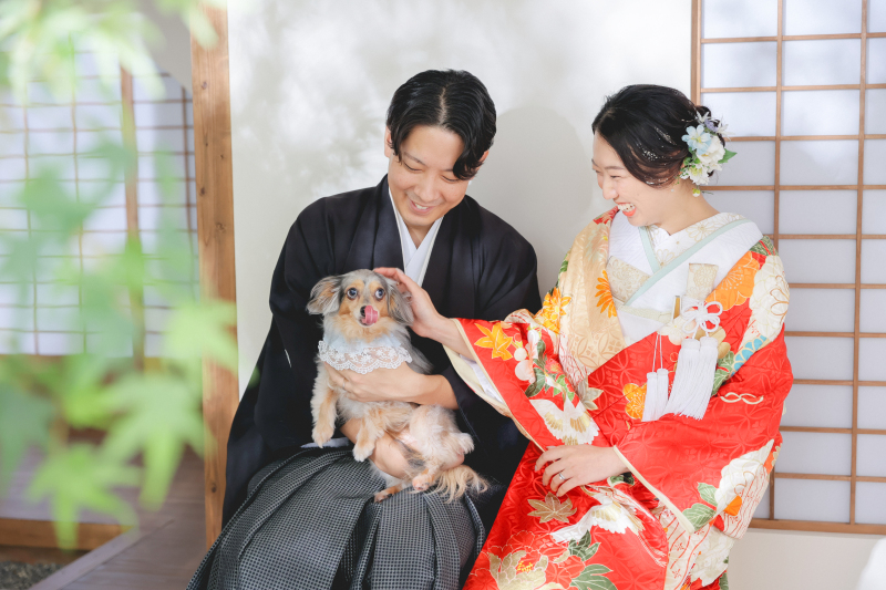 ベンチで
