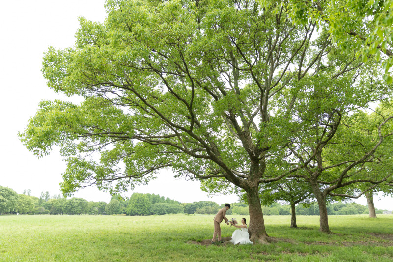 大きな木の下で
