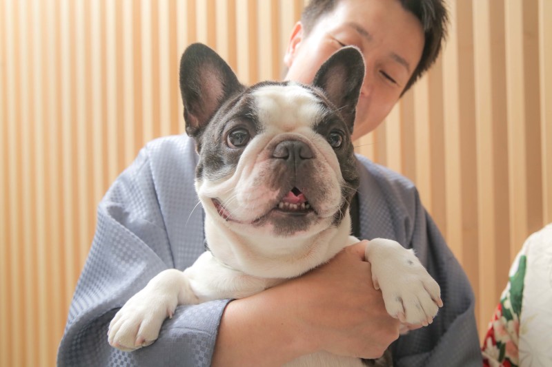 ワンちゃん！！