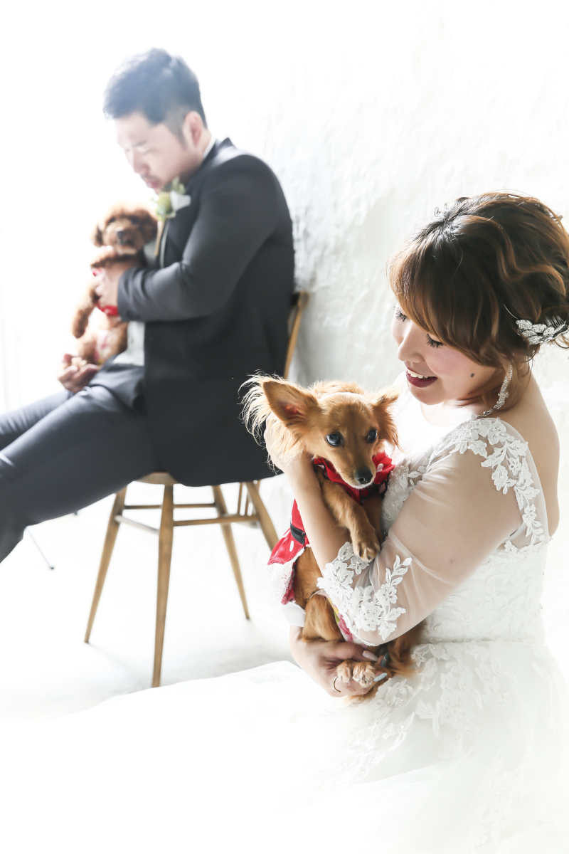 暖かな光の中で