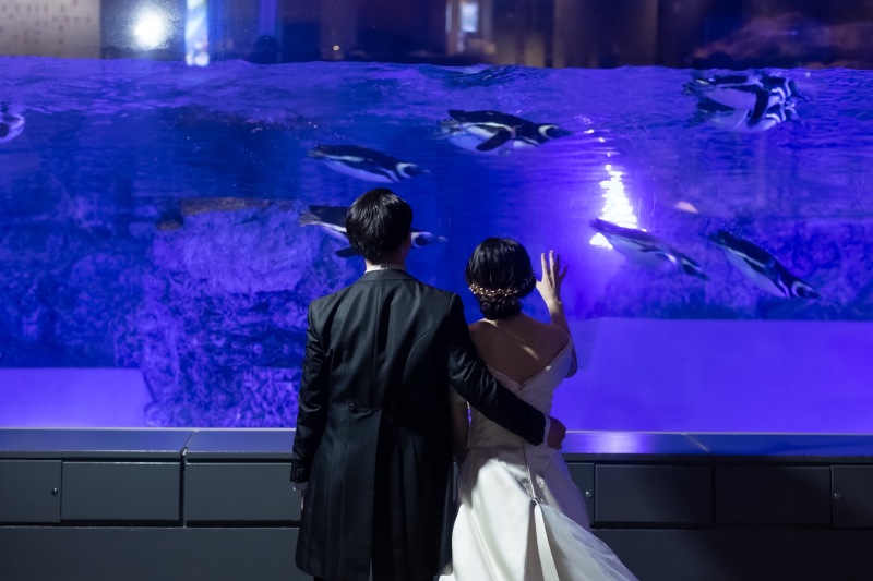 すみだ水族館