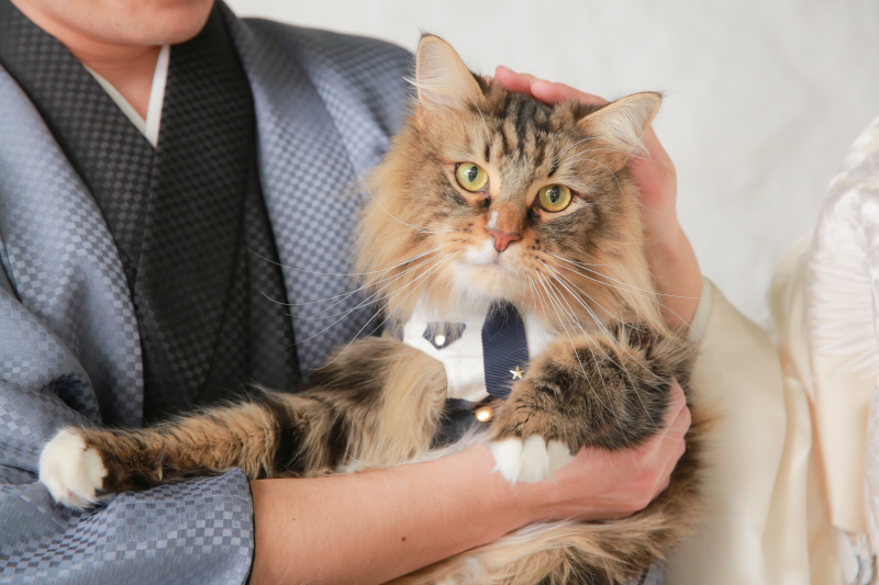 ペットと前撮り