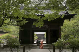 和装ロケーション / 鎌倉・妙本寺