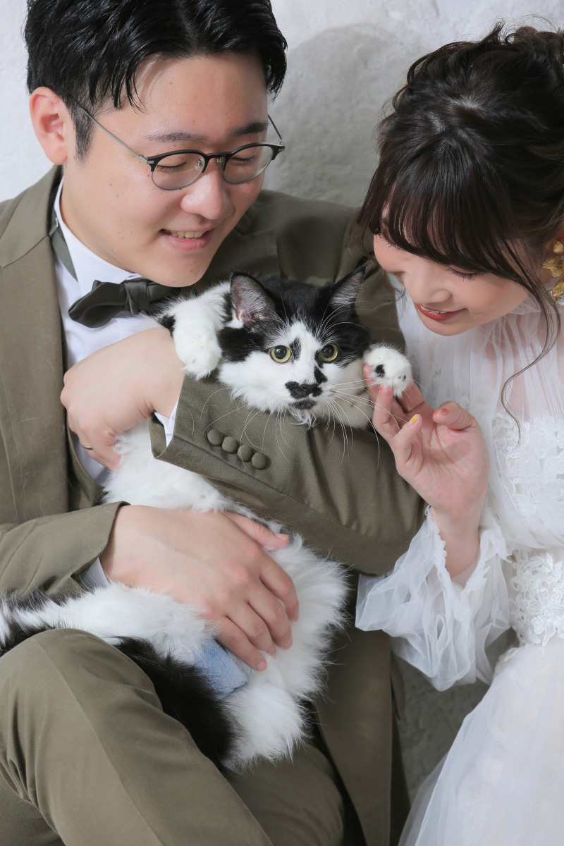 猫と一緒にスタジオフォトプラン