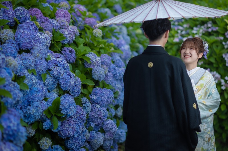 紫陽花ロケ