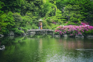 旧安田庭園ロケーション