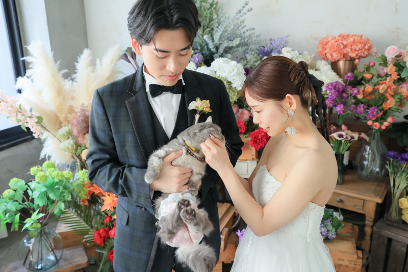 猫ちゃん登場！