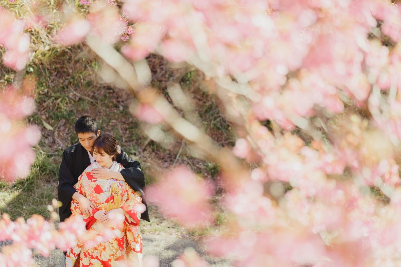 時期がずれるとお花が散ってしまうのでは?