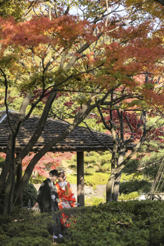 花畑記念庭園で紅葉撮影