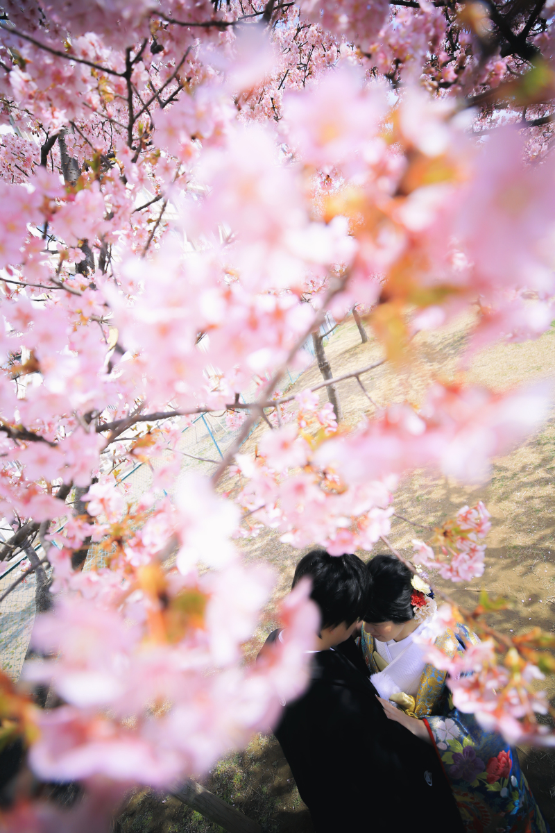 たまには上から