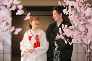 屋内庭園で桜撮影！