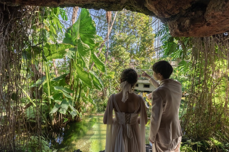 夢の島熱帯植物園