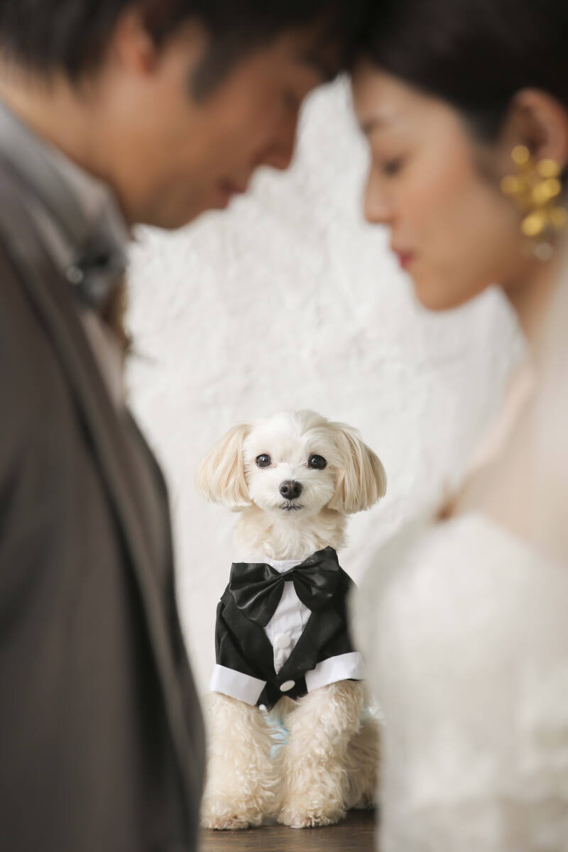 家族の一員のペットと一緒に撮影