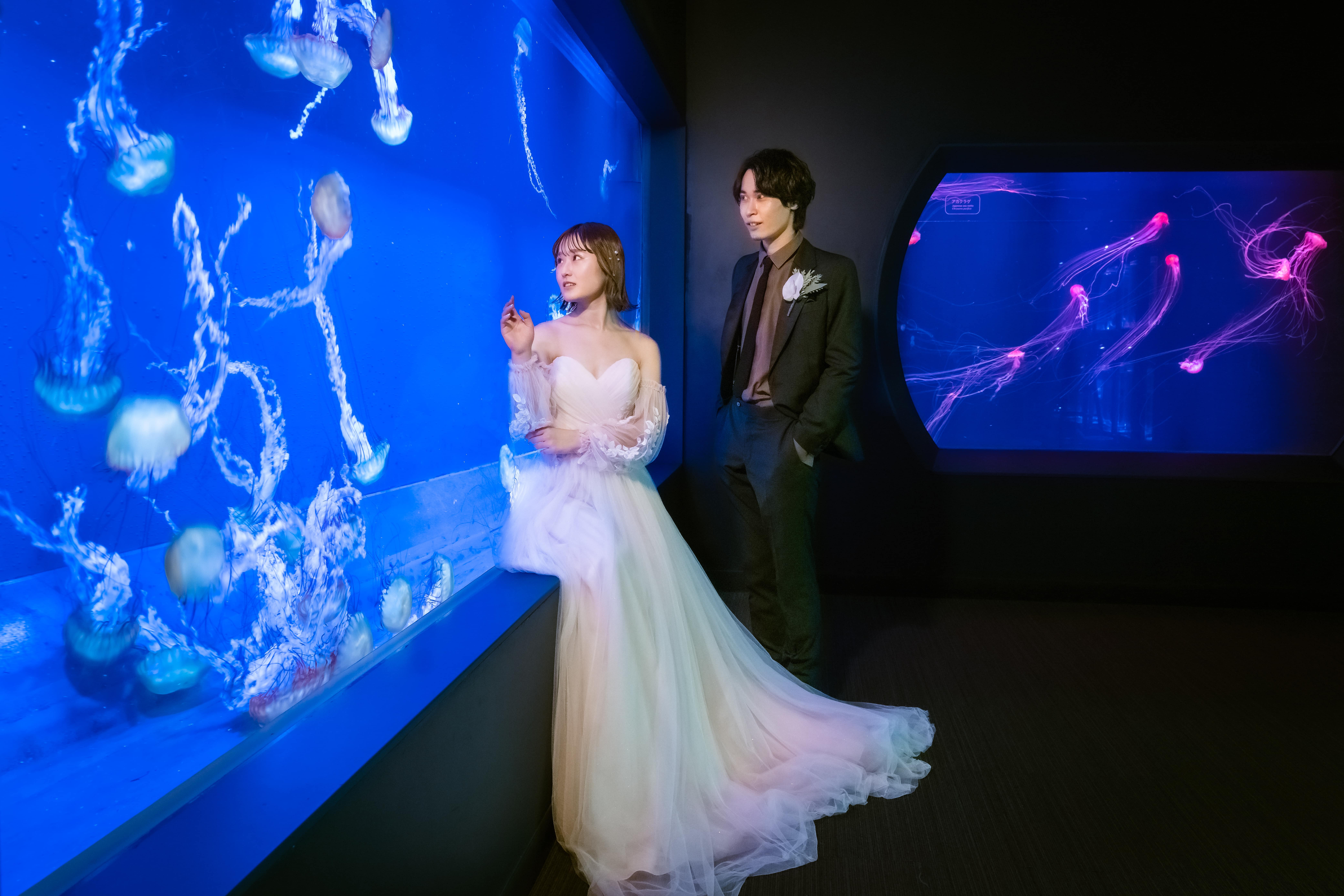 Point1 多彩な撮影シーン