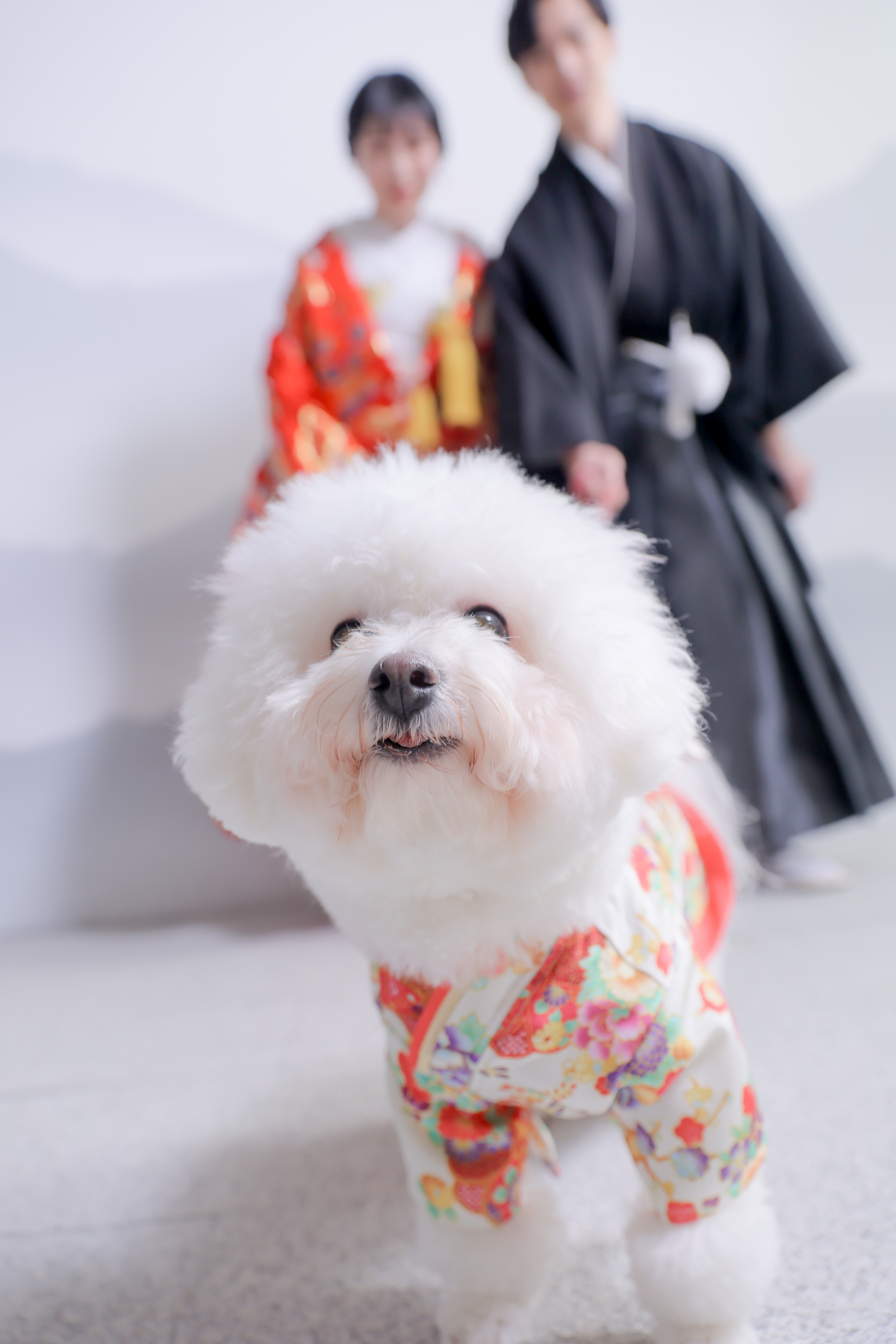 Point1 多彩な撮影シーン