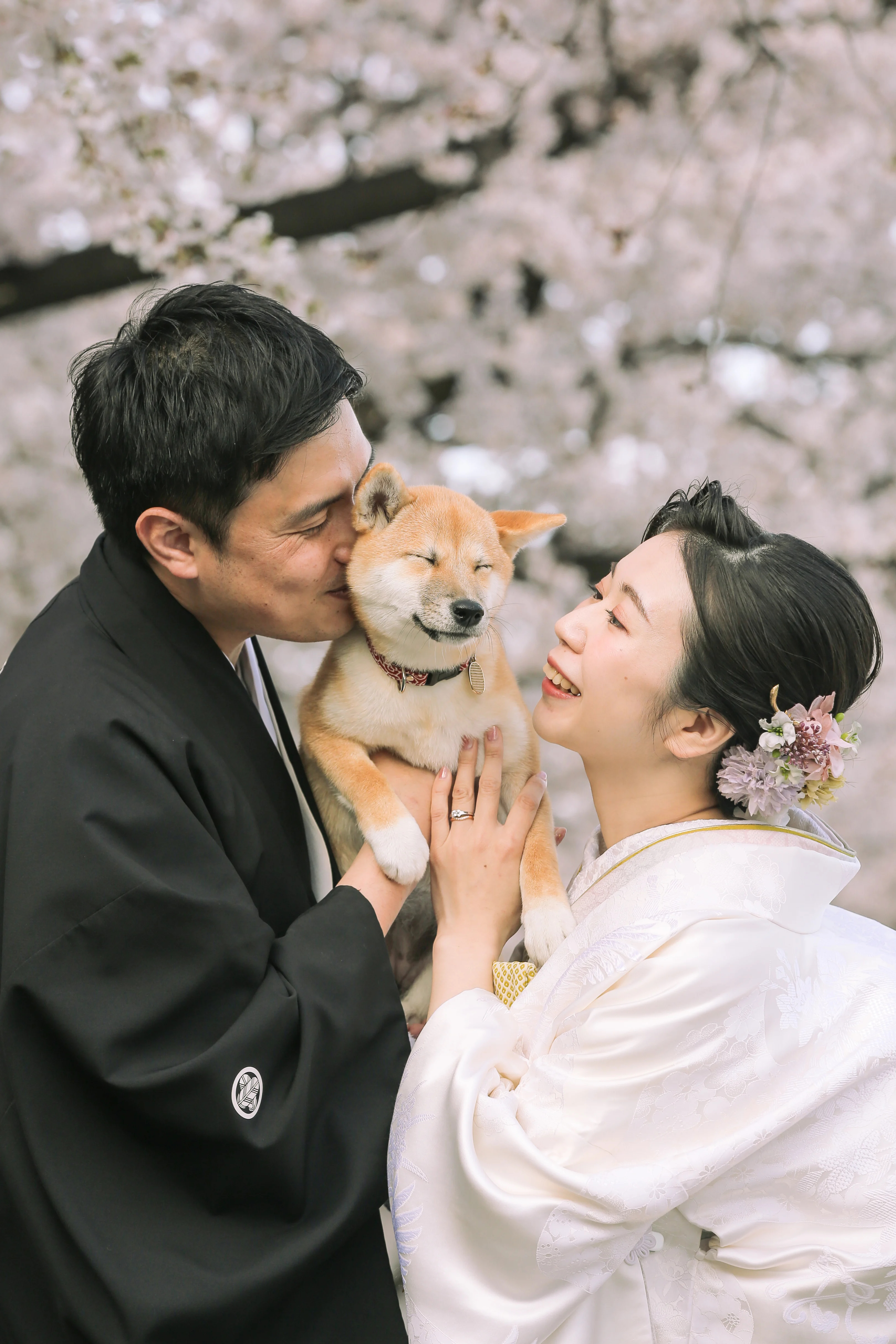 Point1 多彩な撮影シーン