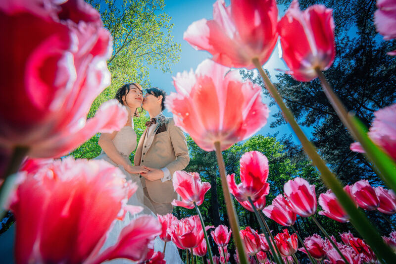 ひたち海浜公園ロケーション｜全データ美肌レタッチ付き(30カット) + アルバム30P & ミニアルバム2冊付き