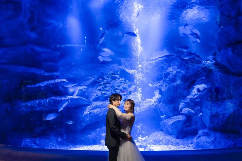 完全貸切での撮影!!【水族館ロケーション(和装or洋装)】全データ美肌レタッチ付き(150カット) + 台紙1冊