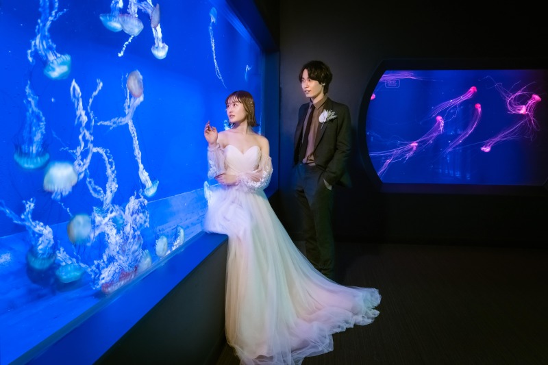 完全貸切での撮影!!【水族館ロケーション(和装or洋装)】全データ美肌レタッチ付き(150カット) + 台紙1冊