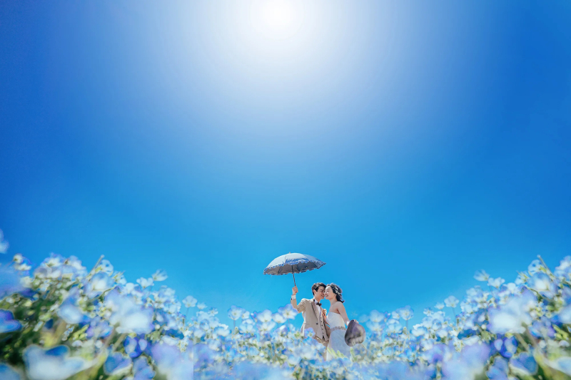 ひたち海浜公園ロケーション｜全データ美肌レタッチ付き(30カット) + アルバム30P & ミニアルバム2冊付き