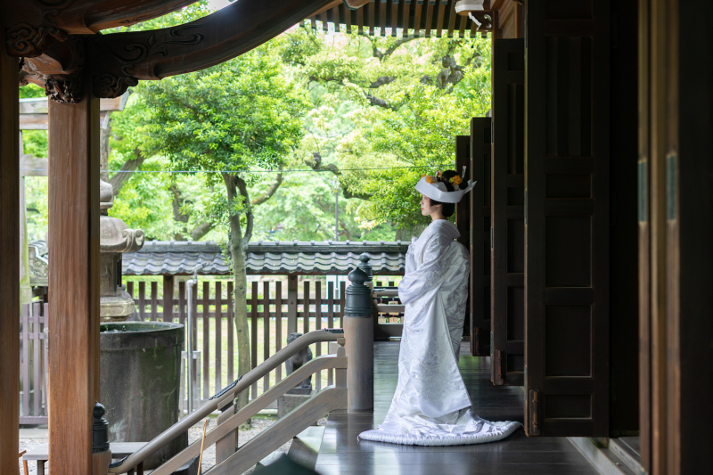 平日限定!!【牛嶋神社ロケーション】全データ美肌レタッチ付き(150カット) + 台紙1冊