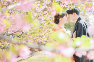 【早期割引】河津桜ご予約受付中