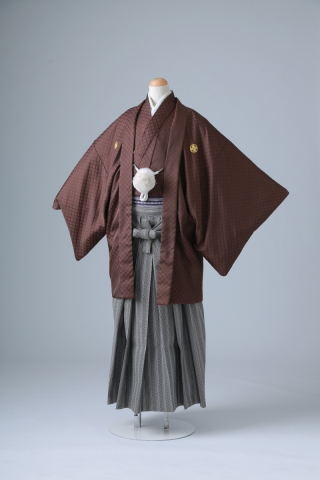 ブラウン×こうし