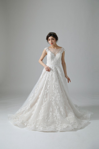 WD00488　Carino/カリーノ