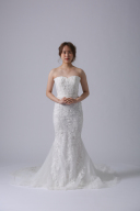 WD00681 DARMERA/ダルメラ