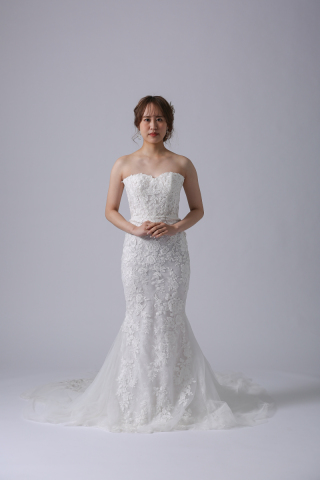 WD00681 DARMERA/ダルメラ