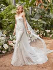 DERMERA/ダルメラ