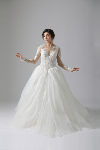 WD00520 DINTEL/ディンテル