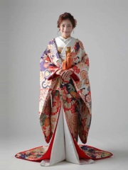 IU00350　彩雲菊花文