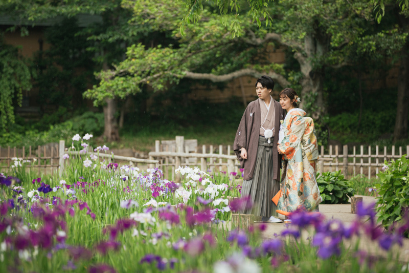 菖蒲も見頃です！