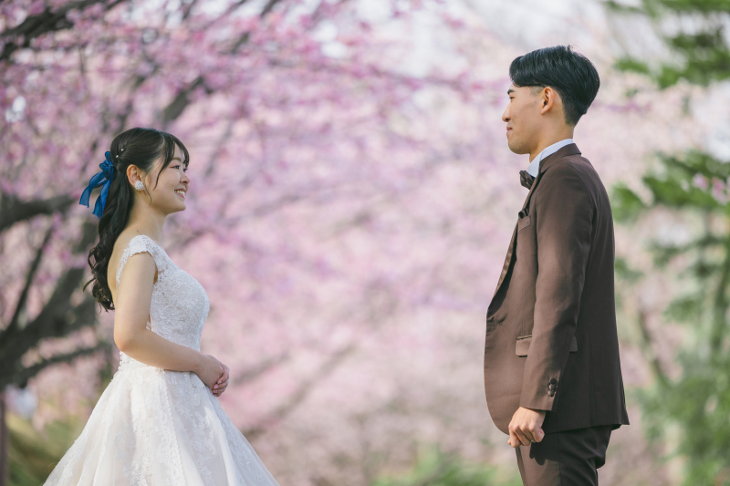 桜に誓う、真実の愛