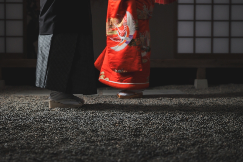 本格的な屋内庭園のセット