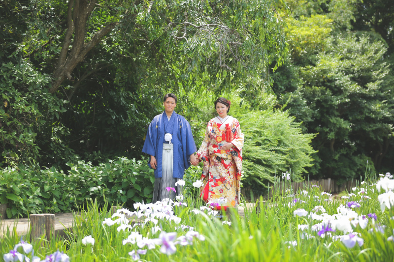 紫陽花の他に菖蒲もあります。