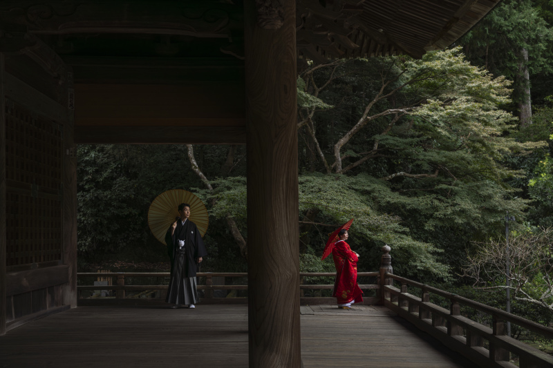 緑豊かな妙本寺で赤無垢を