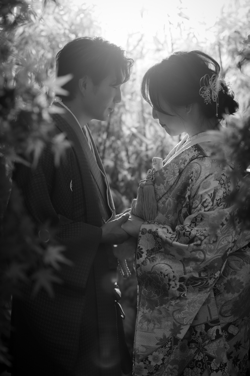 同じ背景でも光次第で、、、