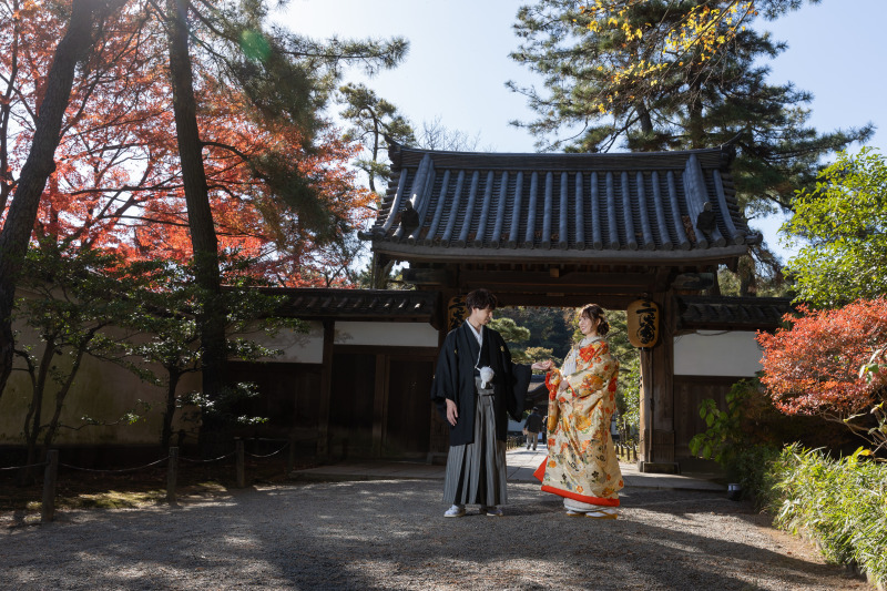 青空と緑のコントラストが美しい1枚